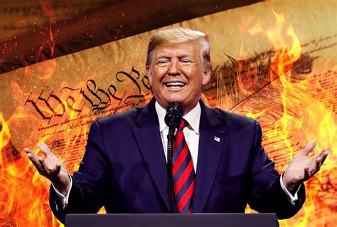 president trump and the constitution